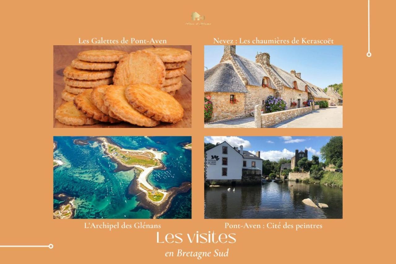 Holiday home Fancy, Vallee Du Scorff, Nature 2-4 Personnes